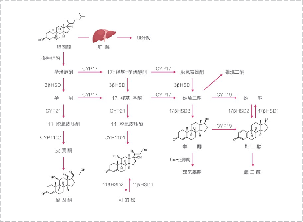 1760150700206594.png 圖片6.png